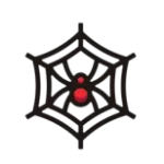 Network as a Service